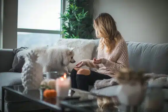 Cap sur un intérieur sain et purifié !